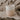 eulenschnitt_vivendi_shop_lippstadt__0039_pot-045_becher_schwester_photocredits_maggymelzer
