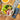 Tropical Dressing Bio