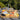 boska_vivendi_shop_lippstadt__0010_320083_party_kaesemesser_set_mit_messerfach_magnetisch