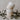 eulenschnitt_vivendi_shop_lippstadt_0060_pot-030_becher_papa_mama_photocredits_maggymelzer