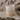 eulenschnitt_vivendi_shop_lippstadt__0039_pot-045_becher_schwester_photocredits_maggymelzer