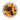 jalalldor_vivendi_shop_lippstadt__0000_im_weinklang_1_begleiter_fuer_saeurebetonte_trockene_weißweine