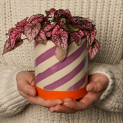 Accessoires & Wohnen