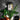 wajos_vivendi_shop_lippstadt__0010_kraeuterbutter_blend